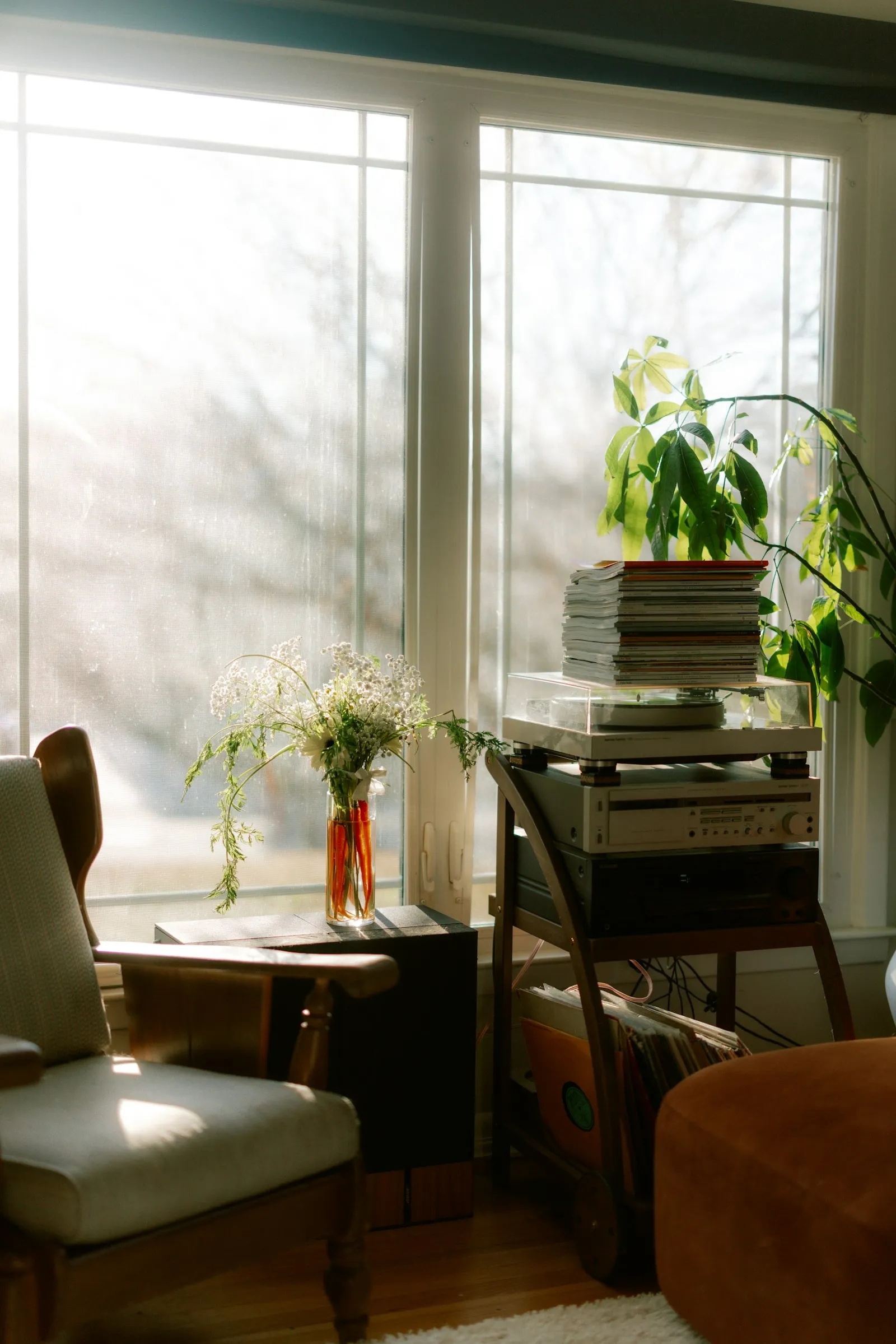 A quiet corner with an armchair and a plant beside a tall window in warm afternoon light